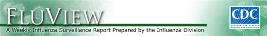 CDC Flu logo